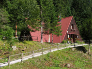 pussa.jpg